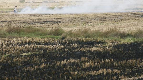耕种前,中国农民在地里烧荒。
