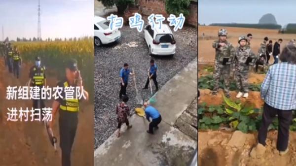 中国 “ 农管 ” 上岗,恶行令农民反感。(图片来源:视频截图)