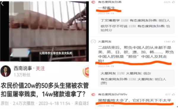 河南农民价值20万的50头猪被“农管”屠宰贱卖14万卷走。(图上来源:网路截图)