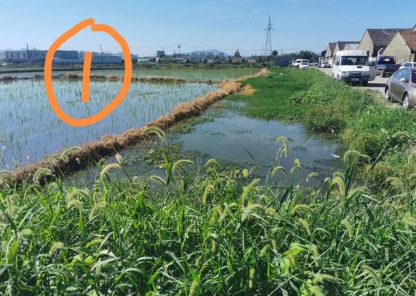 (图片来源:微博)