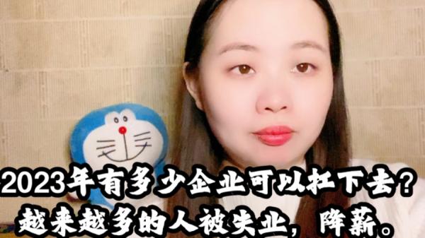 2023年企业倒闭降薪潮大陆网站有许多现身说法（图源：B站视频截图）
