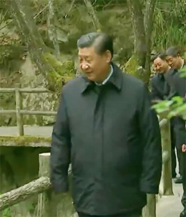 2020年习近平到访陕西秦岭