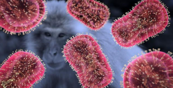 大陆的新冠疫情持续肆虐之际,猴痘病毒开始大范围传播。(图片来源:网络截图)