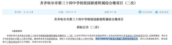 中标机构为“黑龙江炳盛工程咨询有限公司”。(图片来源:网络截图)