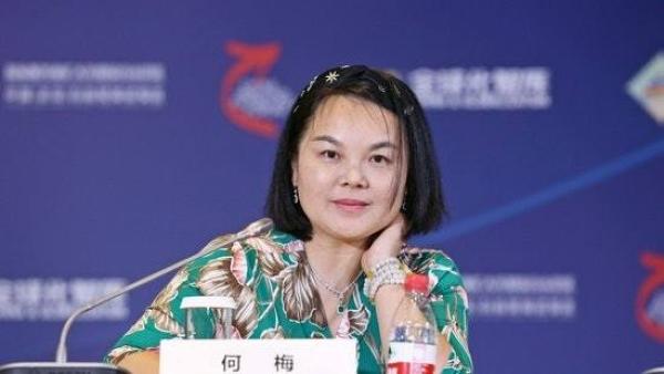 中美移民机构“外联出国”的董事长何梅。(图片来源: 网络)