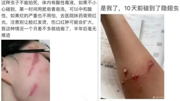 (图片来源:微博截图)