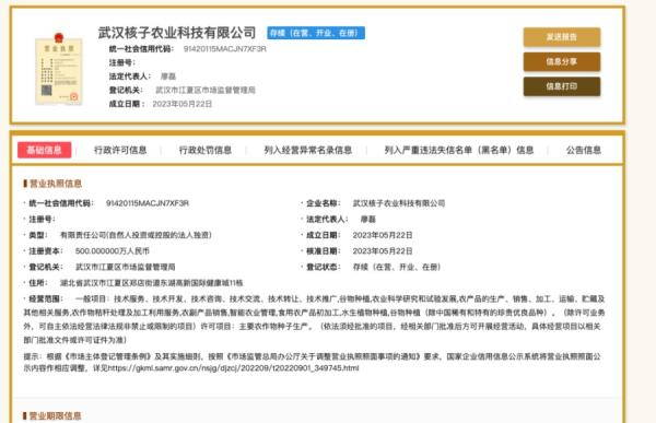 武汉核子农业由深圳市核子基因科技有限公司百分百控股(图片来源:网络截图)