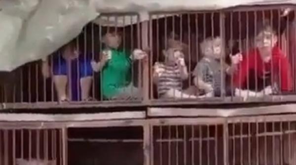 哈马斯袭击以色列后抓孩子做人质,关在养家禽的笼子里。(图片来源:视频截图)