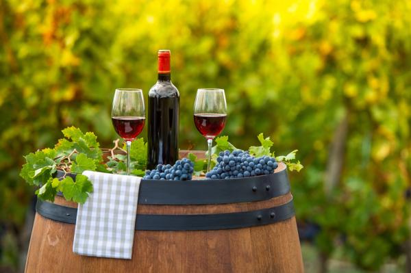 波尔多葡萄园(123RF)