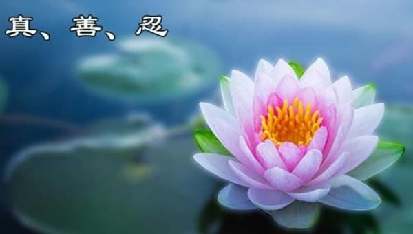 人来世间,就是一场修行。 (图片来源:网络截图)