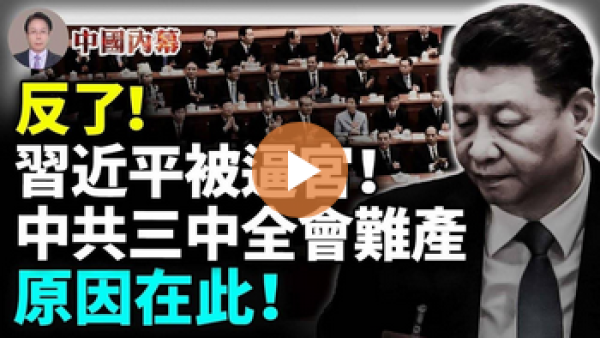 (图片来源:视频截图)