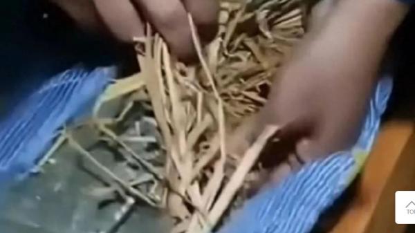 天津一中学学生宿舍床垫全是干草填充。(图片来源:视频截图)