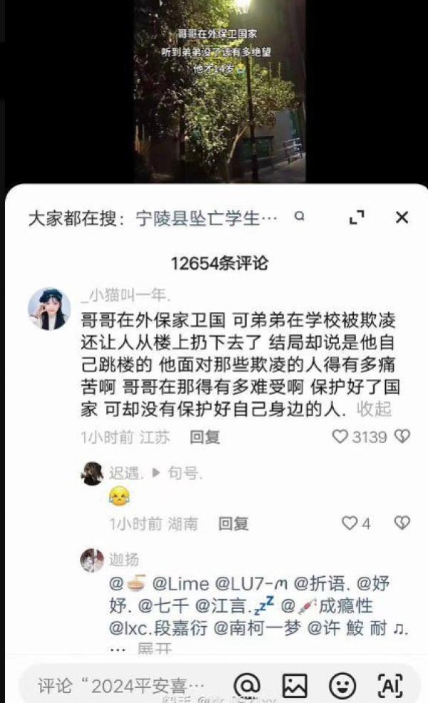 网民：哥哥保护好了国家却没保护好家人。（图片来源：网路截图）