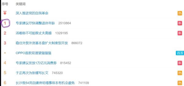 “专家建议尽快调整退休年龄”冲上微博热搜第一位。(图片来源:网路截图)