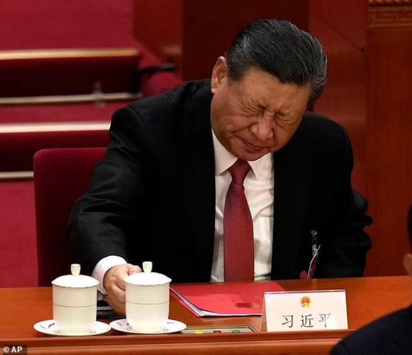 (图片来源:网络)