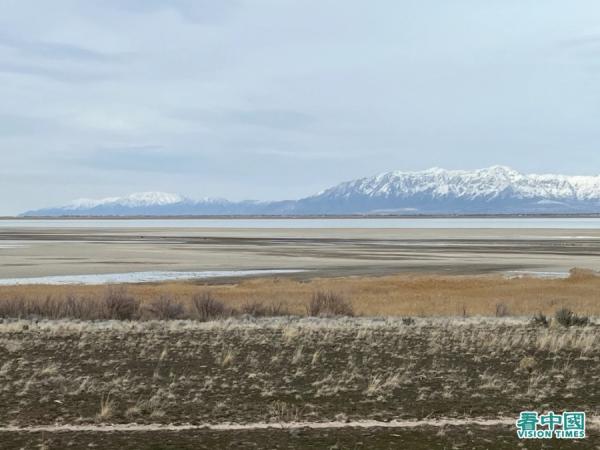 盐湖的一些部分已变成湿地