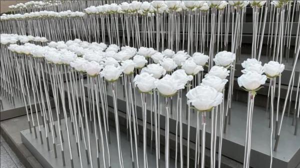 23条在立法会通过三读当日,有网民分享香港的打卡新景点——东九文化中心外的楼梯上的一片白色玫瑰花。(图片来源:脸书截图)