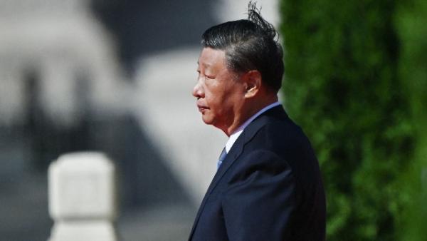 习近平力主建设雄安新区。