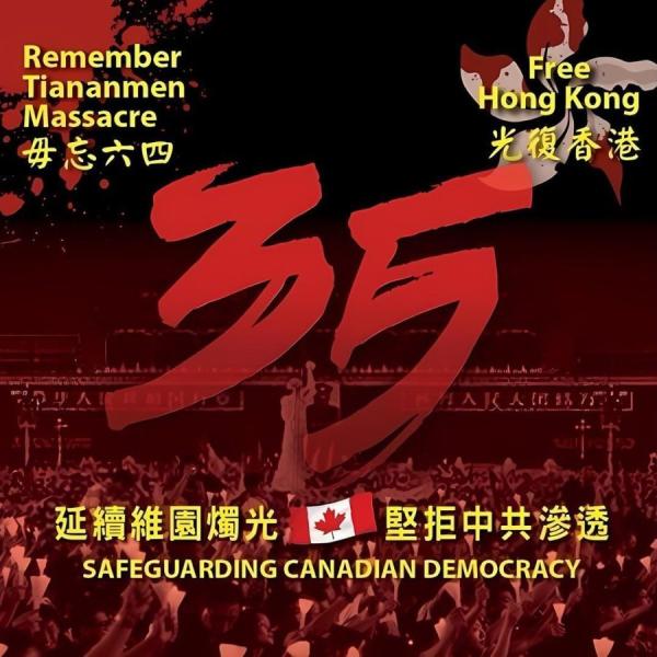 (图片来源:网络)