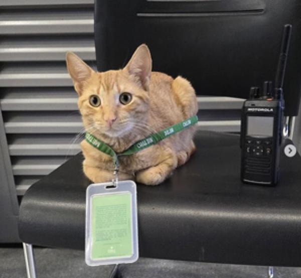 (Instagram@metrodemedellin)