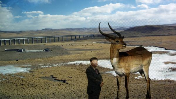 西部,要大开发。 (图片来源:看中国合成图)