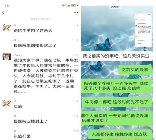 “阳谷那个养殖场一百多头牛,陆续死了八十多头”。(图片来源:网路截图)