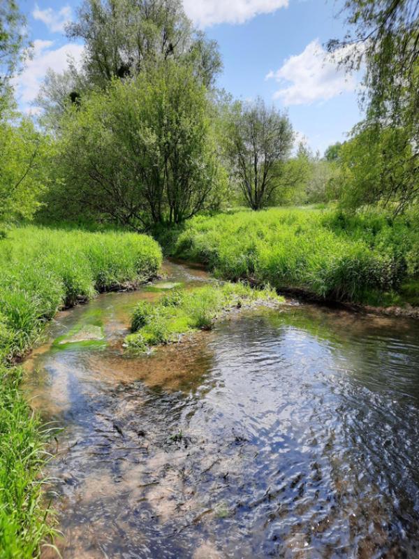 茹伊布博物馆附近的小河(摄影:周晓天/看中国)