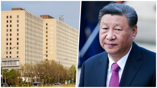 有消息称，中国社会科学院经济研究所的领导层被一锅端与泄露习近平的健康秘密有关。