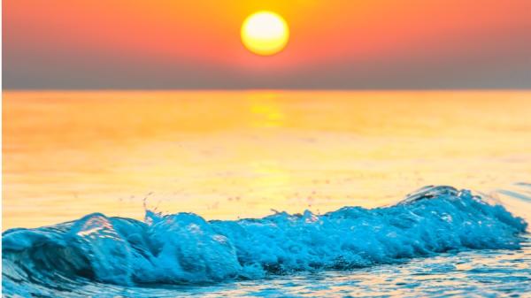 幸福感来自心安理得。(图片来源: 翻拍)