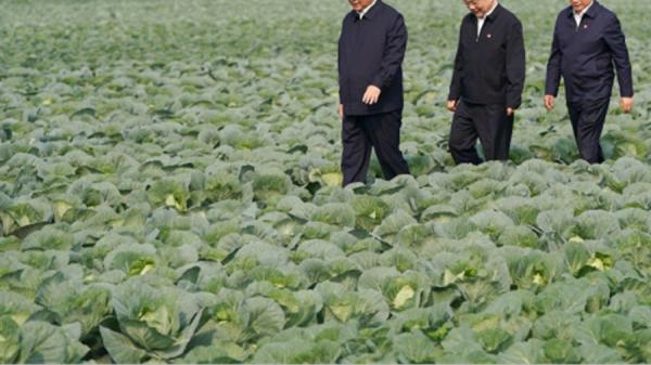 习近平这回考察踩地气，心思吊诡。