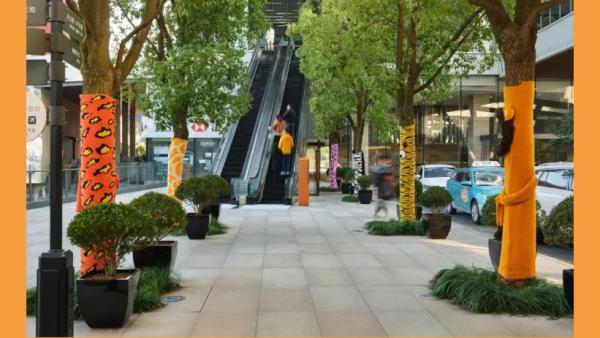 近来,中国多地出现“给树穿毛衣”的奇景。(图片来源:网络图片)