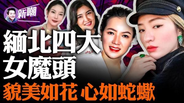 慈善名媛，蛇蝎美人，缅北诈骗4大女魔头。（视频截图）