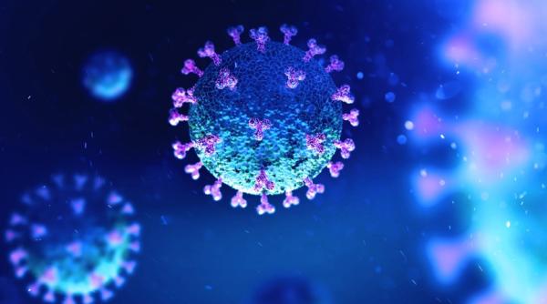 新冠病毒。(图片来源: 翻拍)