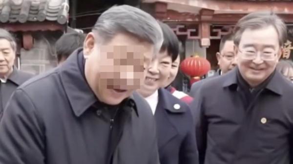 习近平到丽江考察，被拍到满头白发。（视频截图）