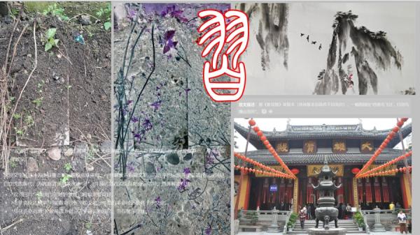 上海玉佛寺近日出土的石碑碑刻与《铁板图》（图片来源：网络截图）