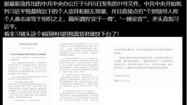 中办文件的造假迎合某种观点  （图片来源：网络截图）