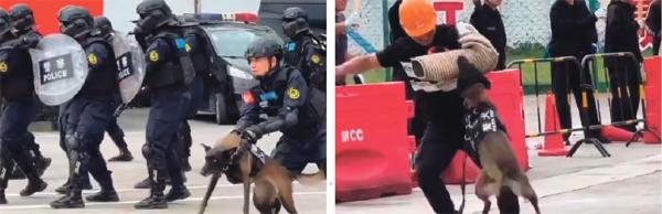 2025年6月传出的视频,防爆警察演练镇压讨薪农民工。(视频截图)