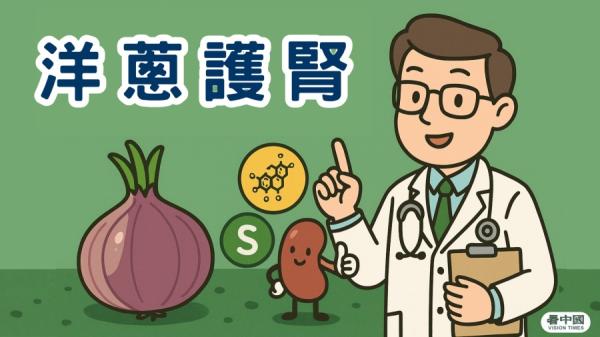 医师表示洋葱含天然抗氧化与抗发炎成分,有助保护肾脏健康。(图片来源:看中国制图)