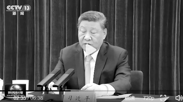 习近平（看中国合成图）