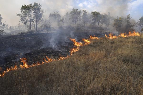 8月25日,西班牙西北部加拉诺发生山火。(CESAR MANSO/AFP via Getty Images)
