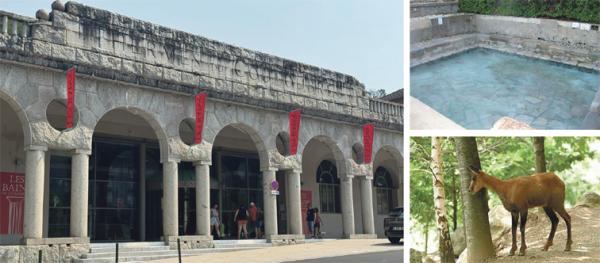 大图:阿克斯莱泰尔姆镇著名的温泉浴场——库鲁布雷温泉浴场(摄影:彭晓莹/看中国);右上图:麻风病治愈池(Jeunamateur/Wikipedia/CC BY-SA 3.0);右下图:比利牛斯山的高山羱羊(Bernard-Boehne/Wikipedia/CC BY-SA 3.0)