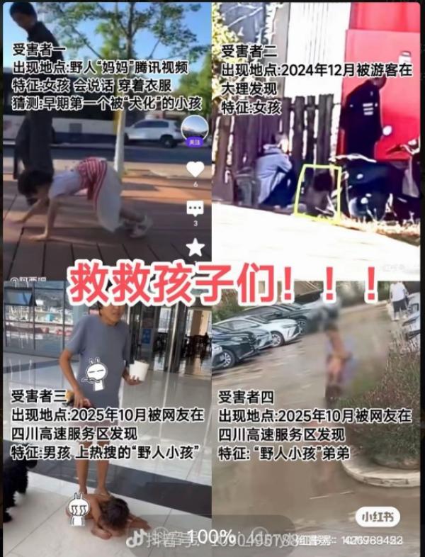 (图片来源:网路截图)