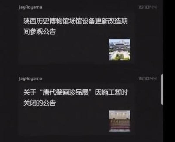 南京博物院“出事”后，全国数十家博物馆集体闭馆。(图片来源：视频截图)