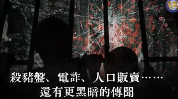 (图片来源：视频截图)