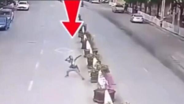 带弓之人   （图片来源: 视频截图 chenjing/看中国）