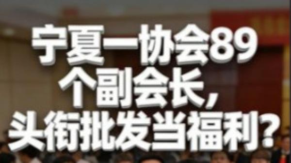 宁夏餐饮饭店协会设置89个副会长。(图片来源:网路截图)