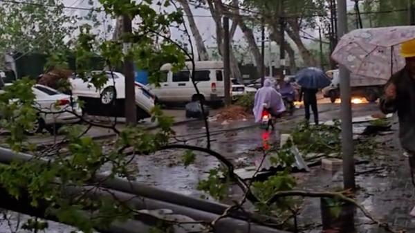 4月9日,武汉遭遇狂风暴雨冰雹袭击,电线杆、树木倒伏。(图片来源:网路截图)