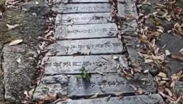 江苏无锡惠山国家森林公园登山台阶由裁切的墓碑铺设。（图片来源：视频截图）