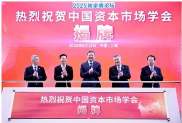 2025年6月18日，时任中共民政部副部长胡海峰（左一）出席上海陆家嘴论坛，并参与揭牌仪式。（图片来源：网络图片）