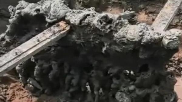 河北安平县一麦田，闪电雷击后惊现一块奇怪的石头。（图片来源：视频截图）